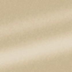 PATINA METALLIC LUSTRE 29cc ML-4C CHAMPAGNE