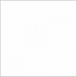 AM.DECOR MAXX GLOSS 236cc BLANCO CHINA     ADMG 01