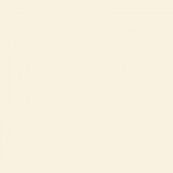 AM.DECOR MAXX GLOSS 236cc CERAMICA         ADMG 02