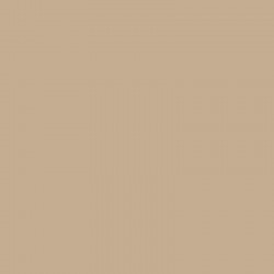 AM.DECOR MAXX GLOSS 236cc CAPUCHINO        ADMG 03