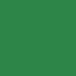 AM.DECOR MAXX GLOSS 236cc VERDE JUNGLA     ADMG 10
