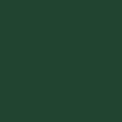 AM.DECOR MAXX GLOSS 236cc VERDE PIMIENTO   ADMG 11