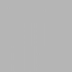 AM.DECOR MAXX GLOSS 236cc GRIS DELFIN      ADMG 18