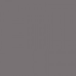 AM.DECOR MAXX GLOSS 236cc HEMATITE         ADMG 19