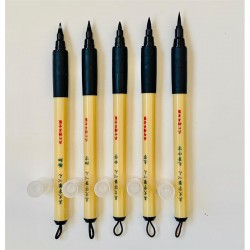 SURTIDO 5 BIMOJI FUDE PEN (5 PUNTAS)