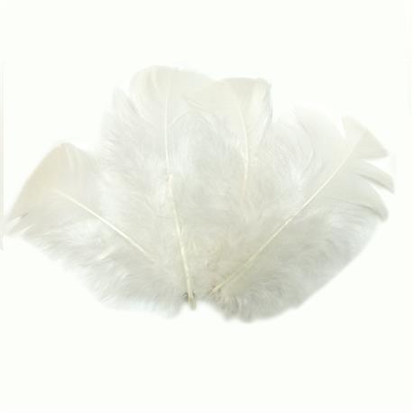 bolsa 12 plumas punta plana blanca de 7 a 15cm