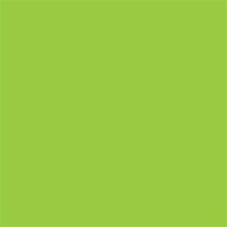pigmento verde claro 100grs