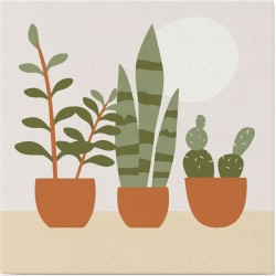 Tres plantas Mini pintar...
