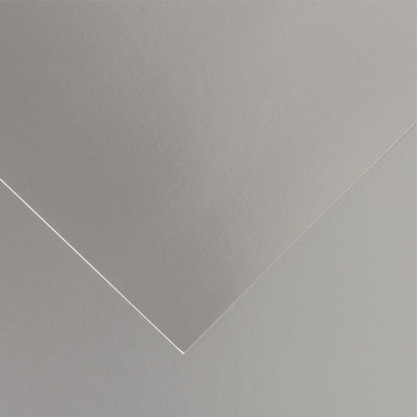 cartulina iris 50x65 280gr plata nº40