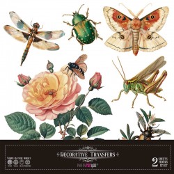 Decor Transfers Insectos...