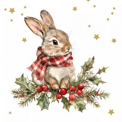 Paqu.20 serv.navidad:...