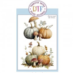 Transferencia DTF Calabazas...