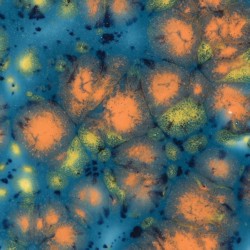 crystal glazes koi pond cg-983