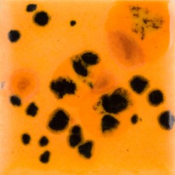 crystal glazes papaya cg-1013