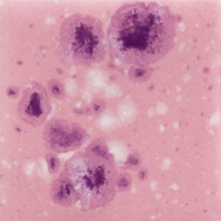 crystal glazes pink plum...