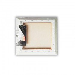 LIENZO CHOPO-INVERTIDO 20x20cm