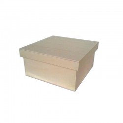 CAJA CUADRADA TAPA SUELTA 21x21x10cm