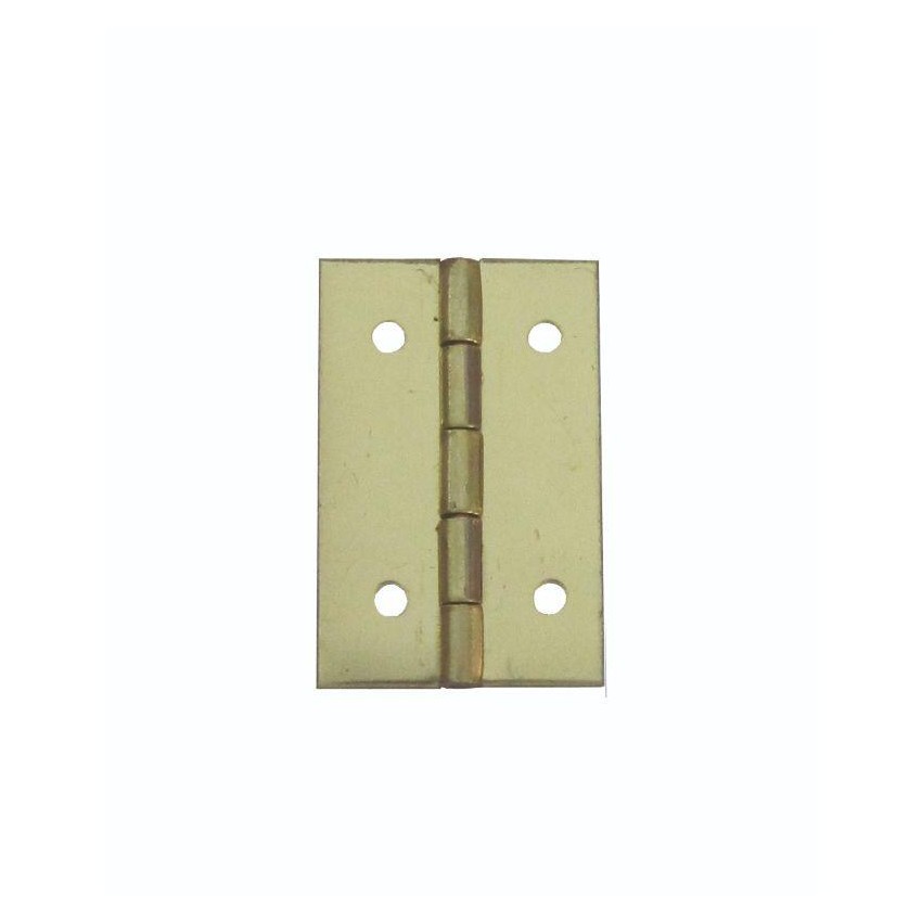 BISAGRA LATONADA 9x18 mm