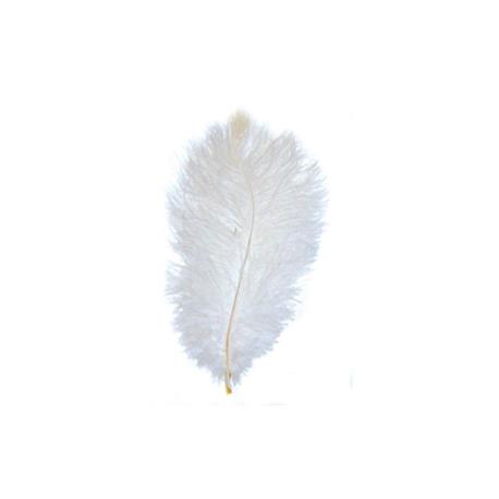 Pluma Blanca de Avestruz 30 cm.