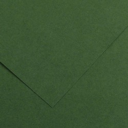 CARTULINA IRIS 50X65 185gr VERDE SELVA