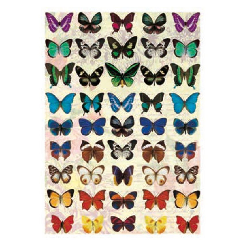 PAPEL ARROZ 35x50cm MARIPOSAS              DGR 171