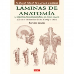 LIBRO DRAC CURSO DIBUJO:LAMINAS DE ANATOMIA