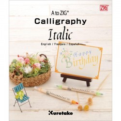 LIBRO CALIGRAFIA ITALIC (INGLES)