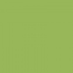 ACRILIC AMERICANA MATE 60cc VERDE CL.HAUSER Nº131· 2