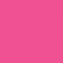 ACRILICO AMERIC MATE 60cc DRAGON FRUIT Nº300