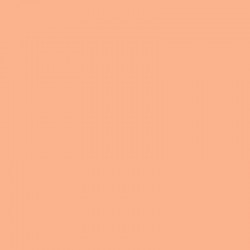 ACRILICO AMERICANA MATE 60cc CORAL Nº316 2