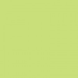 MULTI-SURFACE SATIN AMER.59cc VERDE MELON   DA-544 2