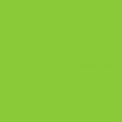MULTI-SURFACE SATIN AMER.59cc VERDE NEON    DA-558 2