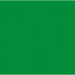 TEXTIL VALLEJO 60 cc  N-53 VERDE