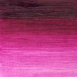 OLEO WINTON 28 37cc MAGENTA 380