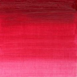 OLEO WINTON 49 37cc ROSA PERMAN. 502