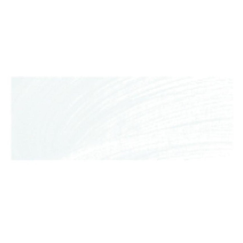 OLEO REMBRANT 15 cc BLANCO TRANSPARENTE Nº119