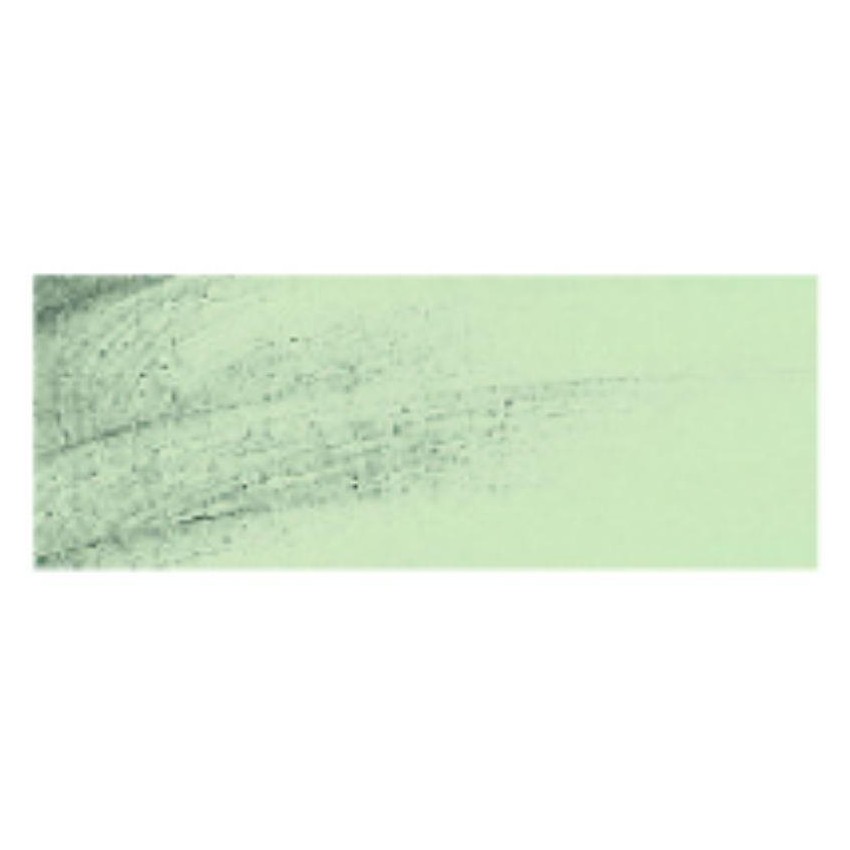 OLEO REMBRANT 15cc PLATA Nº800 S-3