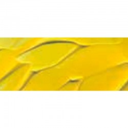 ACRIL.STUDIO-BOTELLA 500cc CAD.AMARI.LIMON(TONO)01 2