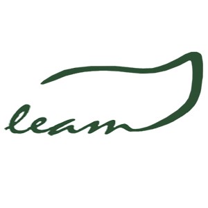 LEAM